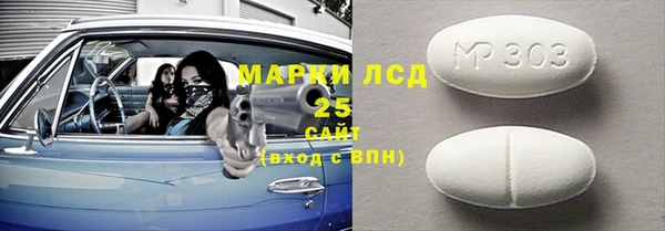 амф Новозыбков