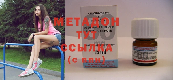 амф Новозыбков