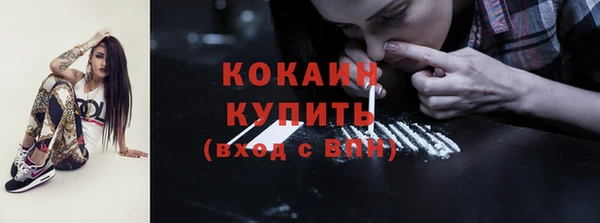 амф Новозыбков