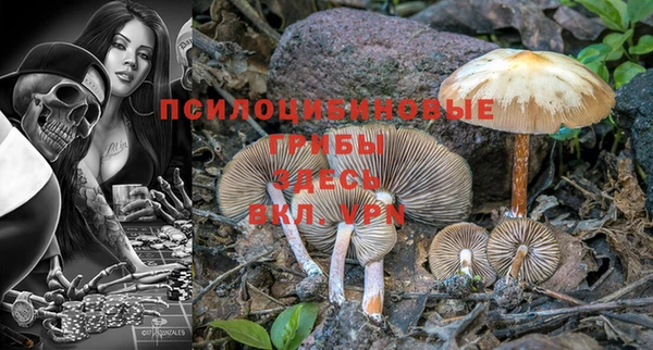 mdpv Новокубанск