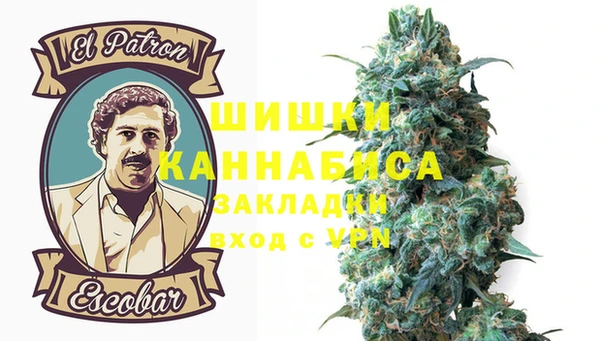 амф Новозыбков
