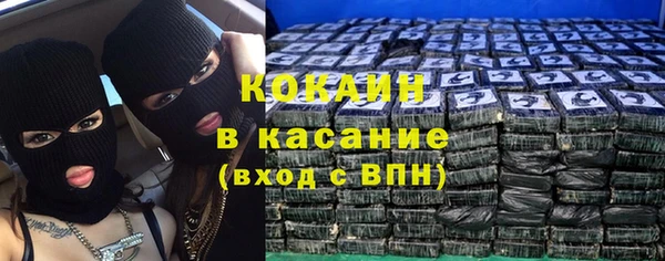 амф Новозыбков