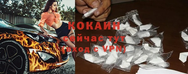 амф Новозыбков